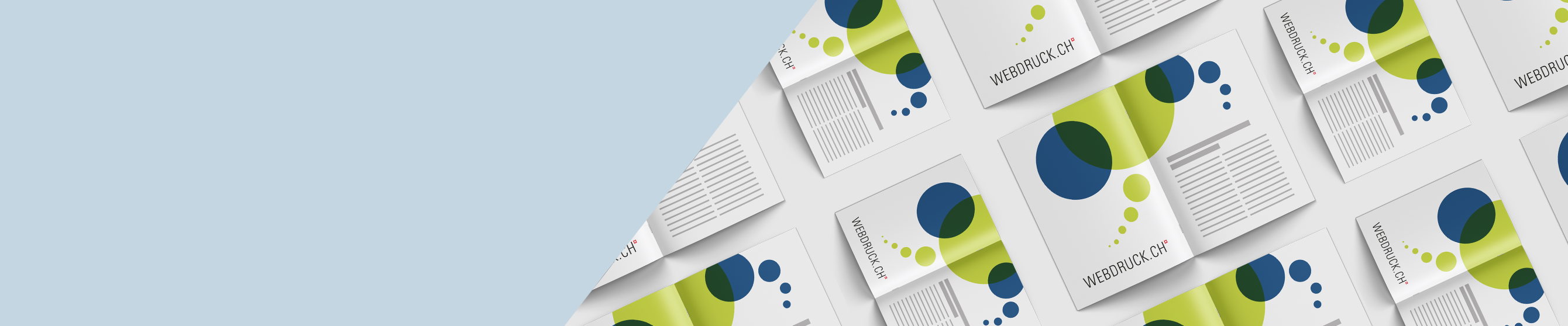 Von der Diplomarbeit bis... Broschüren